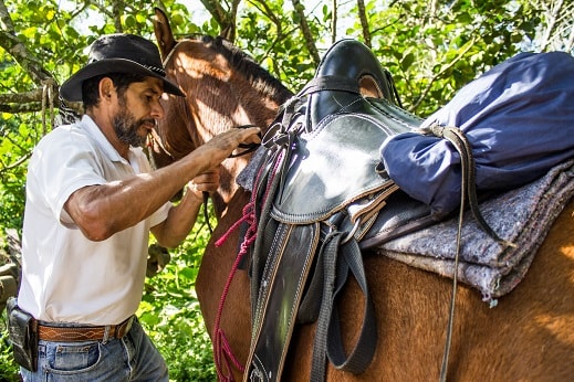 Monteverde Paseo Caballo